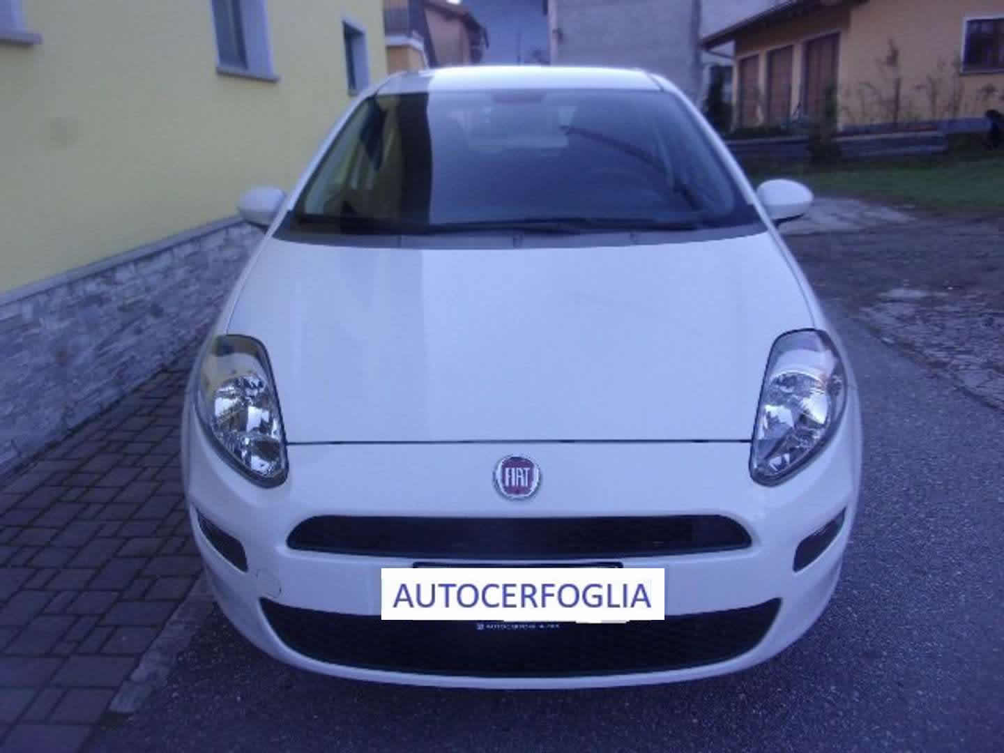 Autocerfoglia