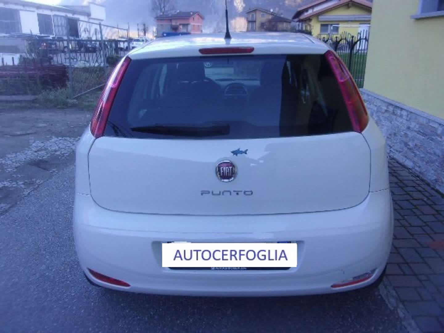 Autocerfoglia