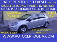 Autocerfoglia