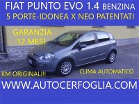 Autocerfoglia