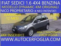Autocerfoglia