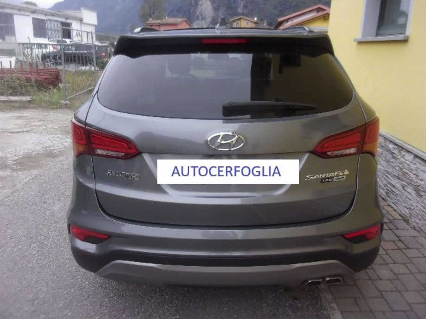 Autocerfoglia