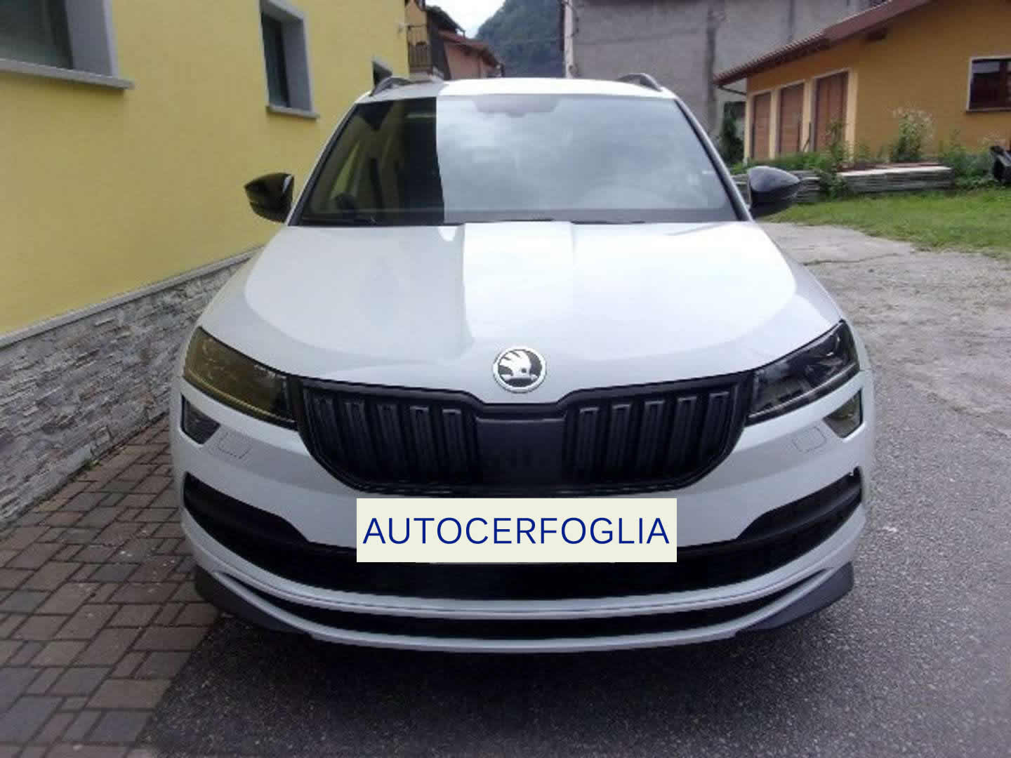 Autocerfoglia