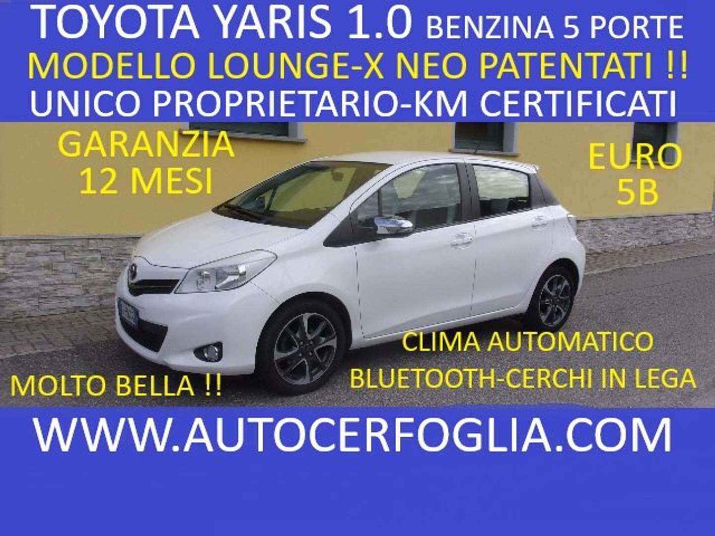 Autocerfoglia