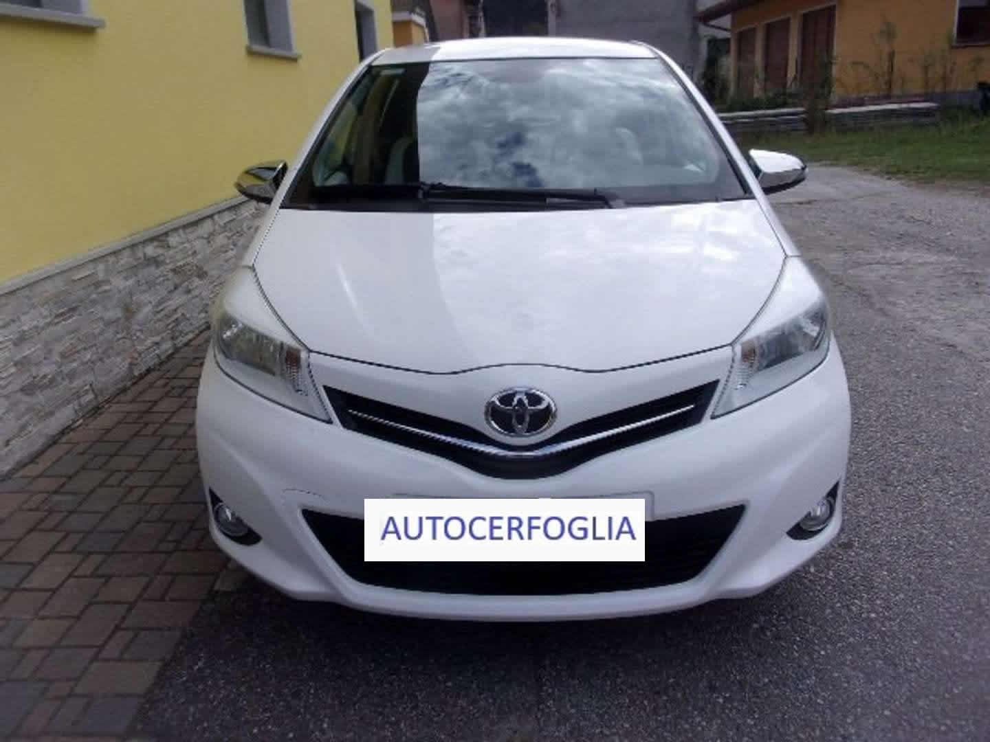 Autocerfoglia