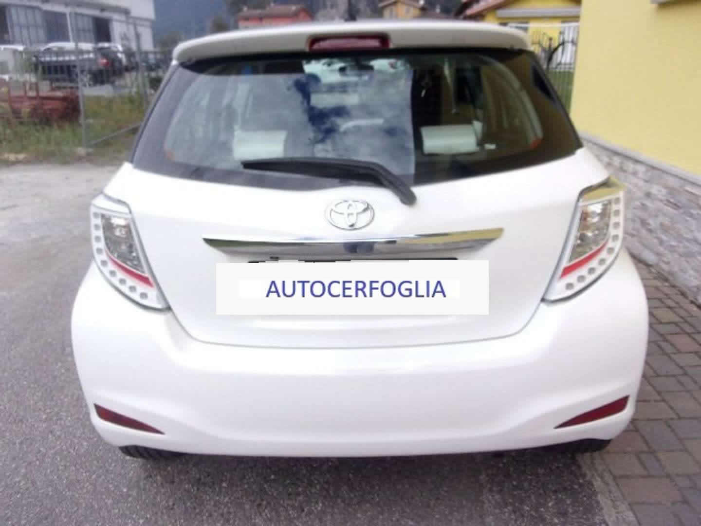 Autocerfoglia